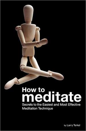 How to Meditate de Larry Terkel