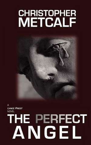 The Perfect Angel: Tales from the Other Side of Language de Christopher Metcalf