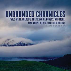 Unbounded Chronicles de David Schneider