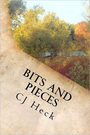 Bits and Pieces: Short Stories from a Writer's Soul de Cj Heck