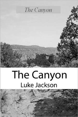 The Canyon: A Paul Anders Mystery de Jackson Luke