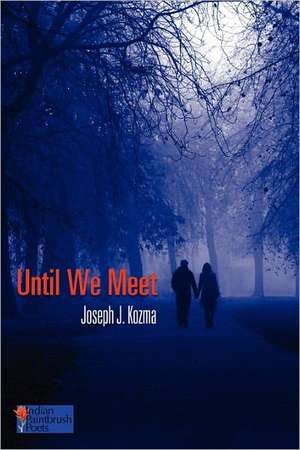 Until We Meet de Joseph J Kozma