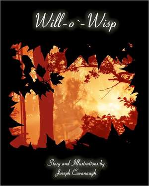 Will-O'-Wisp: An Addict's Struggle to Let Go de Joseph Cavanaugh