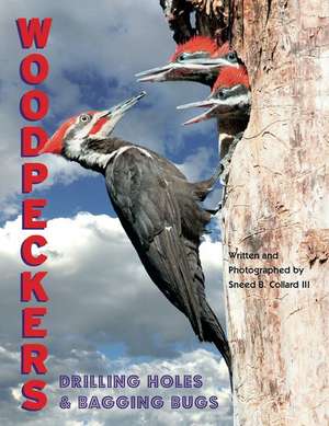 Woodpeckers: Drilling Holes and Bagging Bugs de Sneed B. Collard III