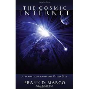 The Cosmic Internet: Explanations from the Other Side de Frank DeMarco