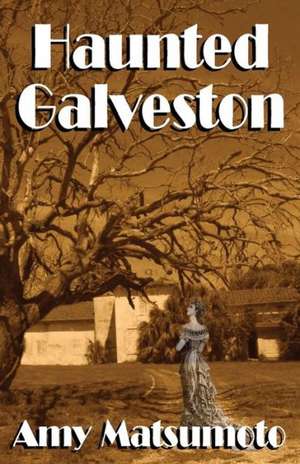 Haunted Galveston de Amy Matsumoto