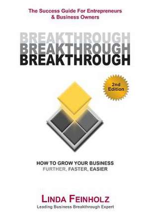 Breakthrough - The Success Guide for Entrepreneurs and Business Owners - 2nd Edition: The Tools & Techniques Every Business Owner Needs to Know to Get de Linda Feinholz