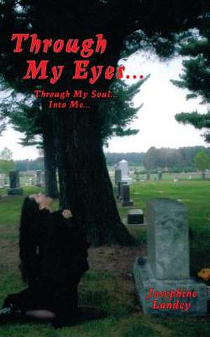 Through My Eyes de Josephine D. Landey