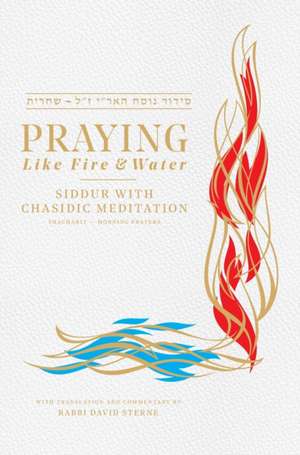 Praying like Fire and Water: Siddur with Chassidic Meditation de Rabbi David H. Sterne