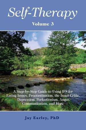 Self-Therapy, Vol. 3: A Step-by-Step Guide to Using IFS for Eating Issues, Procrastination, the Inner Critic, Depression, Perfectionism, Ang de Jay Earley