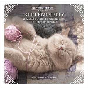 Kittendipity de David Cuschieri