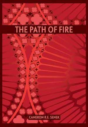 The Path of Fire - First Edition