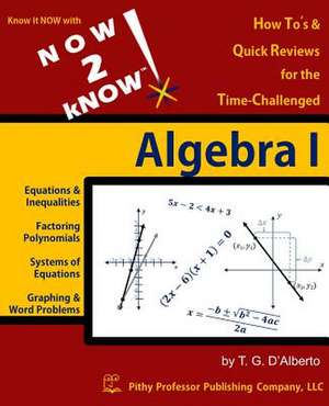 Now 2 Know Algebra 1 de T. G. D'Alberto