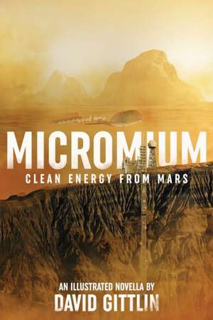 Micromium de David B Gittlin