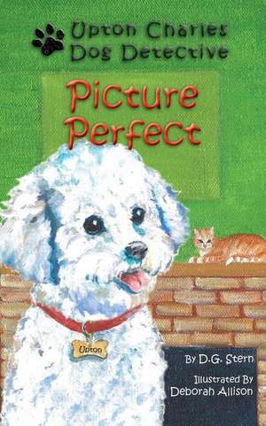 Picture Perfect de D. G. Stern