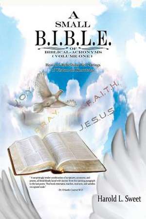 A Small B.I.B.L.E. of Biblical Acronyms de Harold L. Sweet