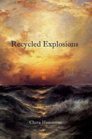 Recycled Explosions de Chera Hammons