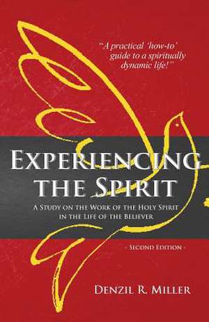 Experiencing the Spirit de Denzil R. Miller