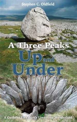 A Three Peaks Up and Under de Stephen C. Oldfield