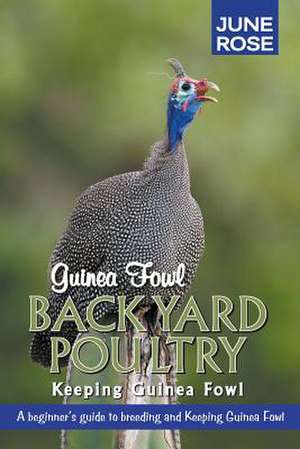 Guinea Fowl, Backyard Poultry de June Rose