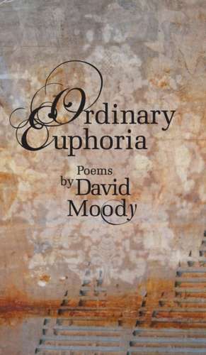 Ordinary Euphoria de David Moody