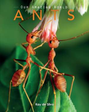 Ants de Kay De Silva