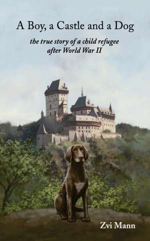 A Boy, A Castle and A Dog de Zvi Mann