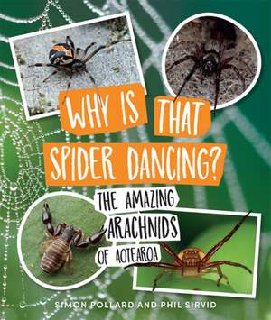 Why is That Spider Dancing?: The Amazing Arachnids of Aotearoa de Simon Pollard