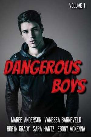 Dangerous Boys de Sara Hantz