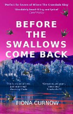 Before the Swallows Come Back de Fiona Curnow