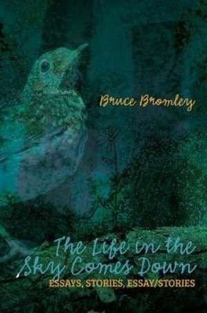 The Life in the Sky Comes Down de Bruce D Bromley