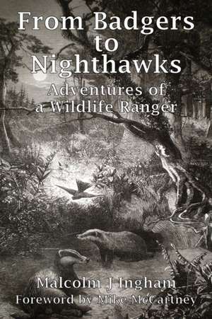 From Badgers to Nighthawks de Malcolm J Ingham