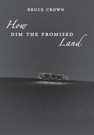 How Dim the Promised Land de Bruce Crown