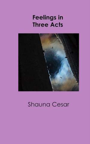 Feelings in Three Acts de Shauna Cesar