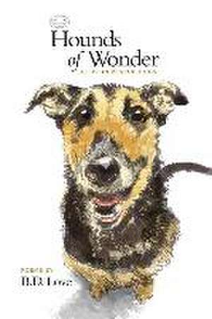 Hounds of Wonder de B. D. Love