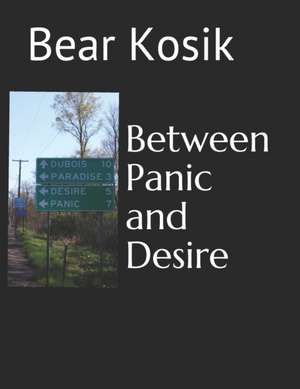 Between Panic and Desire de Bear Kosik