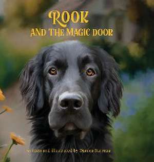 Rook and the Magic Door de Danica Barreau