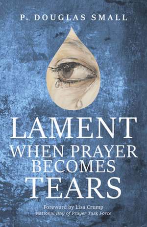 Lament: When Prayer Becomes Tears de P Douglas Small