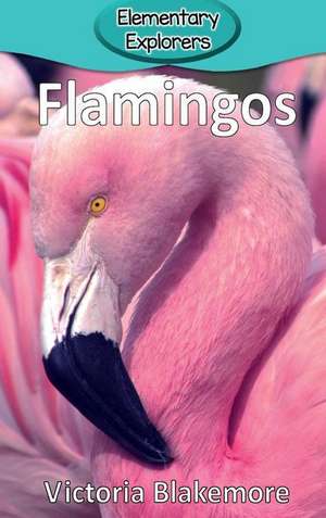 Flamingos de Victoria Blakemore