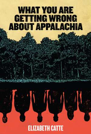 What You Are Getting Wrong about Appalachia de Catte, Elizabeth