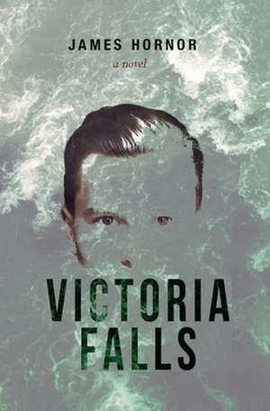 Victoria Falls de James Hornor