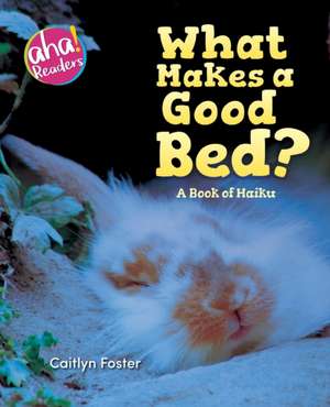 What Makes a Good Bed? de Caitlyn Foster