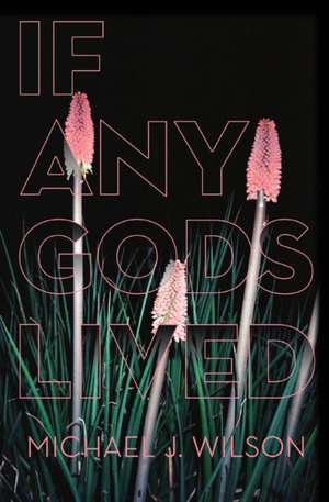 If Any Gods Lived: Poems de Michael J. Wilson