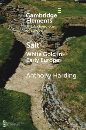 Salt: White Gold in Early Europe de Anthony Harding