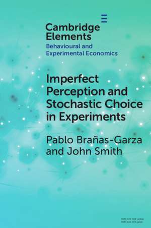 Imperfect Perception and Stochastic Choice in Experiments de Pablo Brañas-Garza