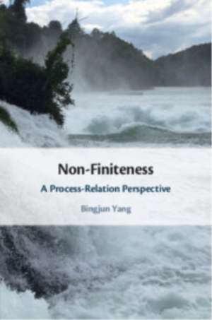 Non-Finiteness de Bingjun Yang
