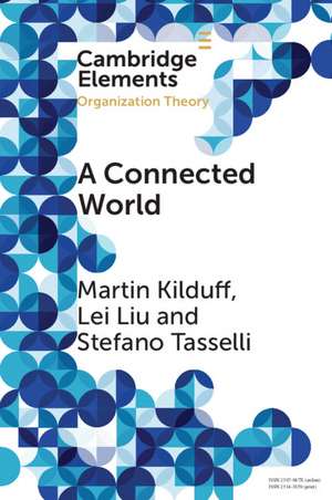 A Connected World: Social Networks and Organizations de Martin Kilduff