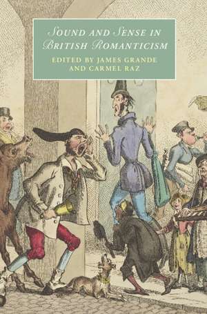 Sound and Sense in British Romanticism de James Grande