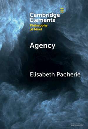 Agency de Elisabeth Pacherie