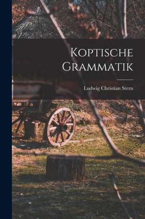Koptische Grammatik de Ludwig Christian Stern